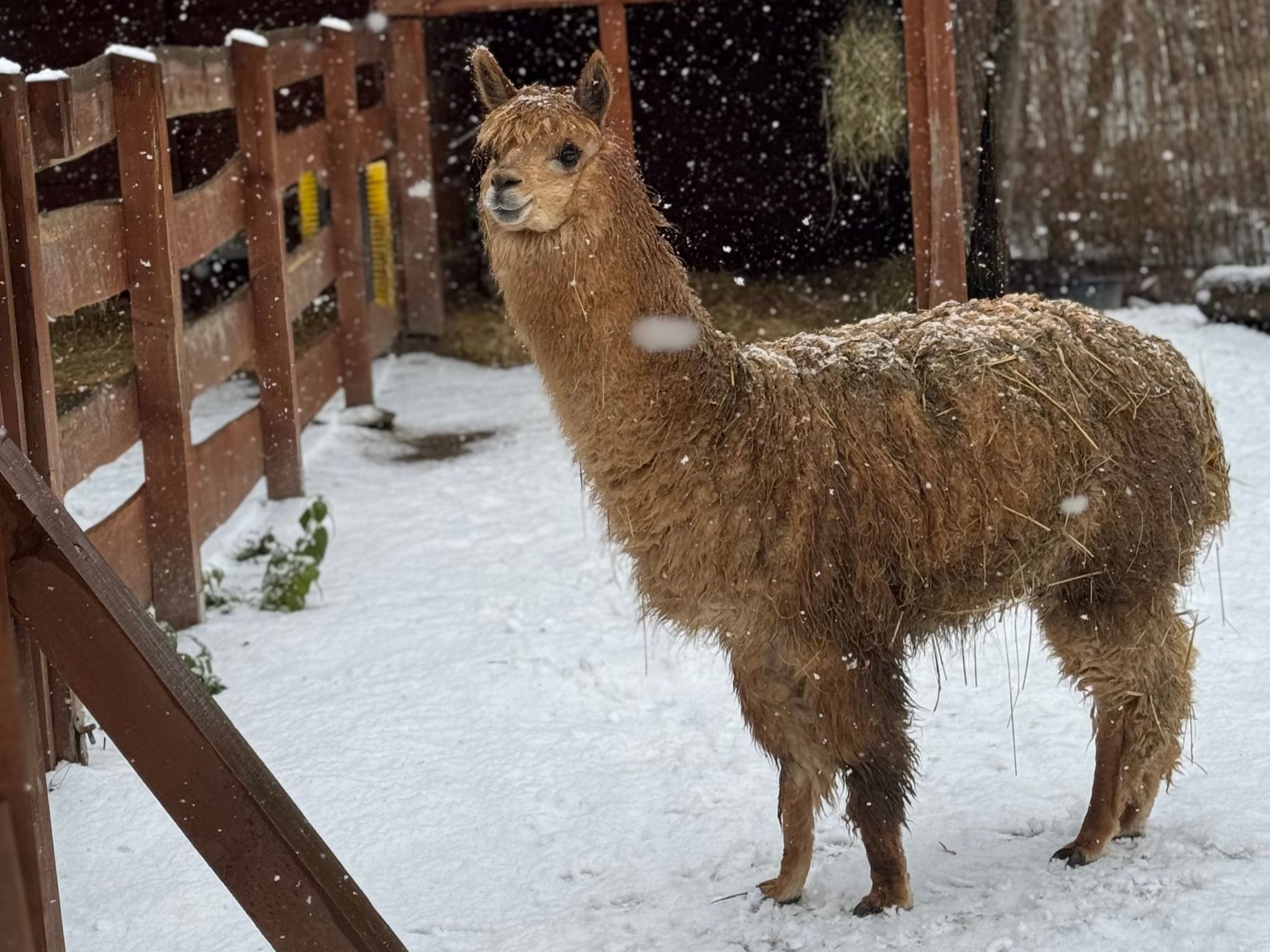 Návrh bez názvu (7)